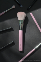 Powder Brush
