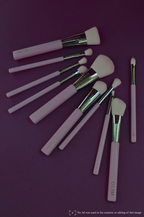 Signature Makeup Brush Collection