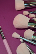 Signature Makeup Brush Collection