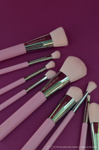Signature Makeup Brush Collection